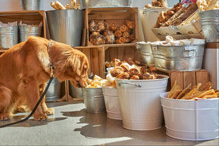 Polka Dog Bakery gallery
