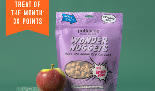 A purple bag of Polkadog Wonder Nuggets dog treats sits on top of a tall stack of books, with a red apple placed on the bookshelf. The background is a solid teal-green color, and an orange promotional banner in the top left reads 'TREAT OF THE MONTH: 3X POINTS'.