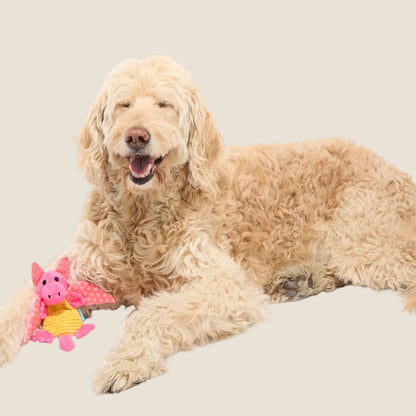 Bark - Valentine Dingbert