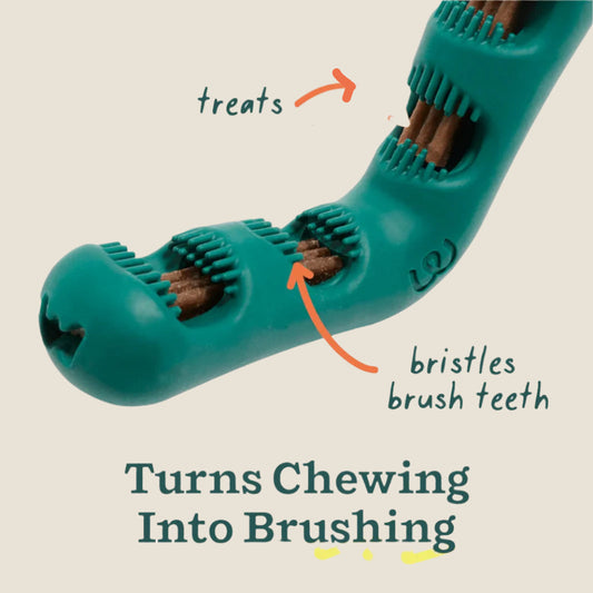 Woof - Bite n' Brush