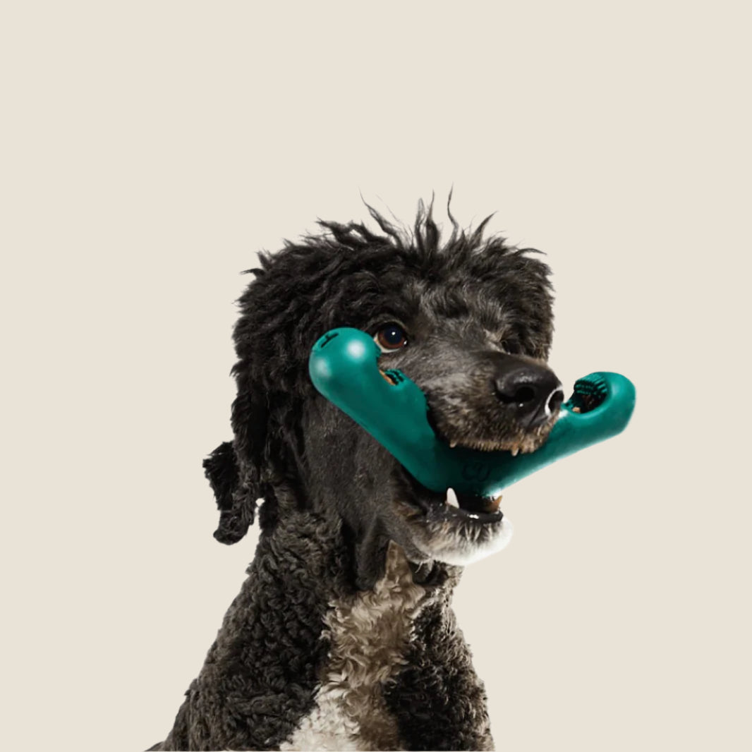 Woof - Bite n' Brush