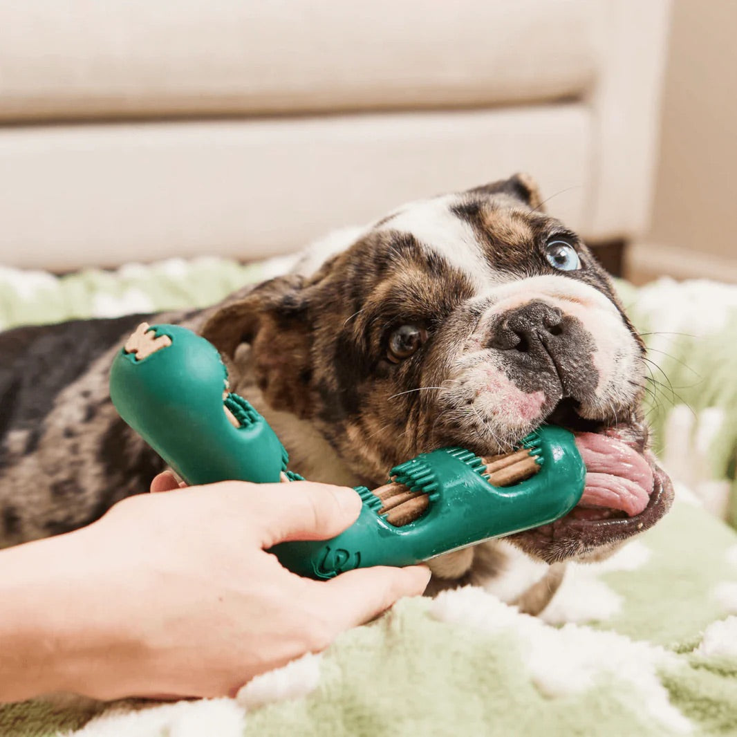 Woof - Bite n' Brush