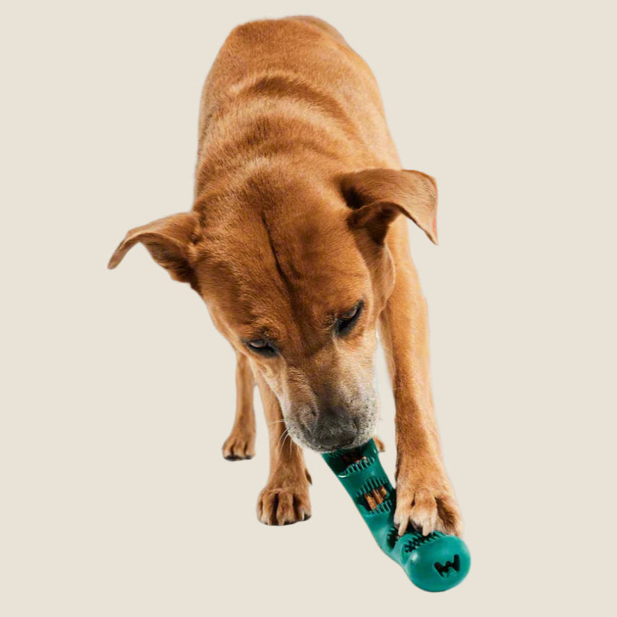 Woof - Bite n' Brush