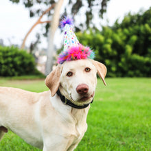 Load image into Gallery viewer, Huxley &amp; Kent - Superstars Party Time Hat

