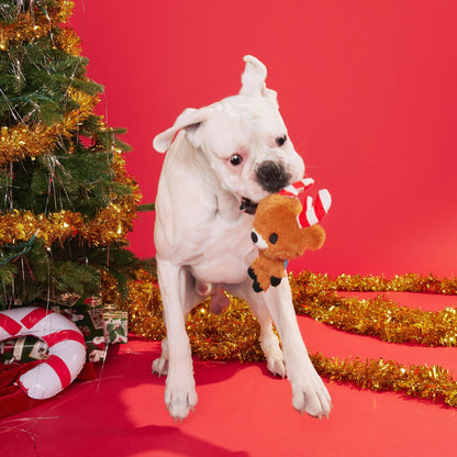 Bark - Felix Navidad