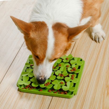 Tall Tails - Clover Foraging Mat