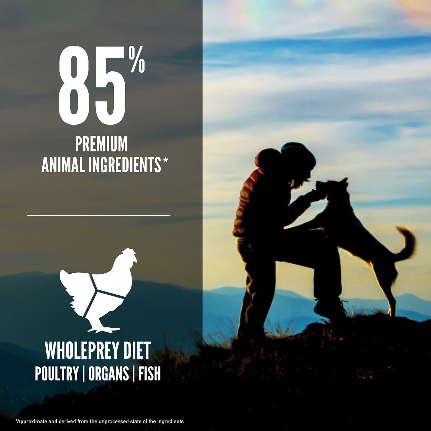 Person and dog silhouette with mountain backdrop, featuring 85% premium animal ingredients text and graphics.