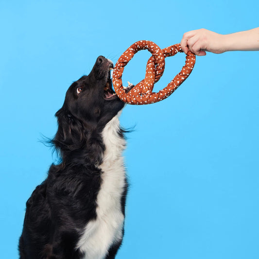 Bark - Paula's Park Slope Pretzel