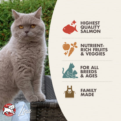 Cat sitting outdoors with a product label about salmon, fruits, veggies, all breeds, and family made on a white background.