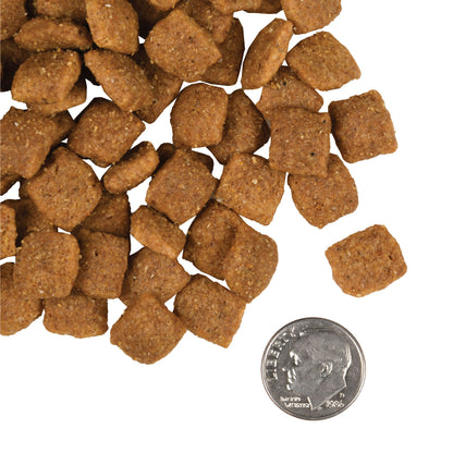 Fromm Gold - Adult Recipe