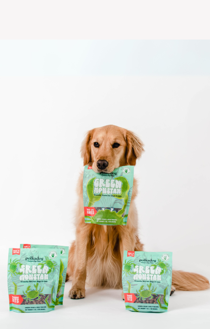 Golden retriever wth green monstah packages
