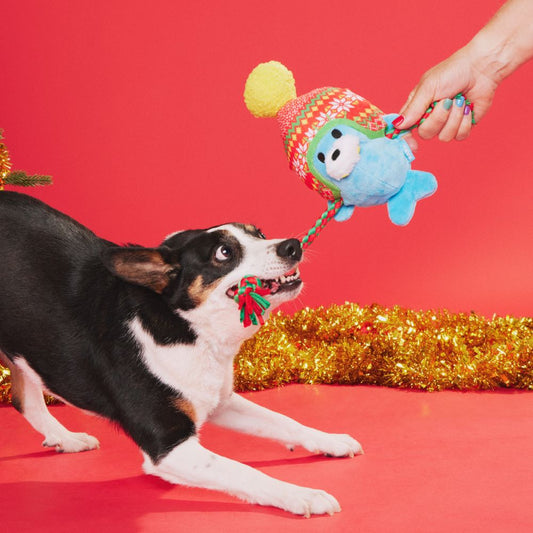 Bark - Walter the Winter Walrus