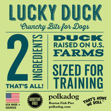 Load image into Gallery viewer, Polkadog Lucky Duck (Bits)
