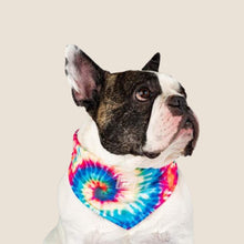 Load image into Gallery viewer, Canada Pooch - Tie Dye Cooling Bandana
