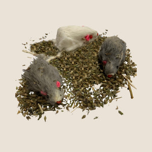 Dr. Pussums Mischief of Marinated Mice (Pack of 3)