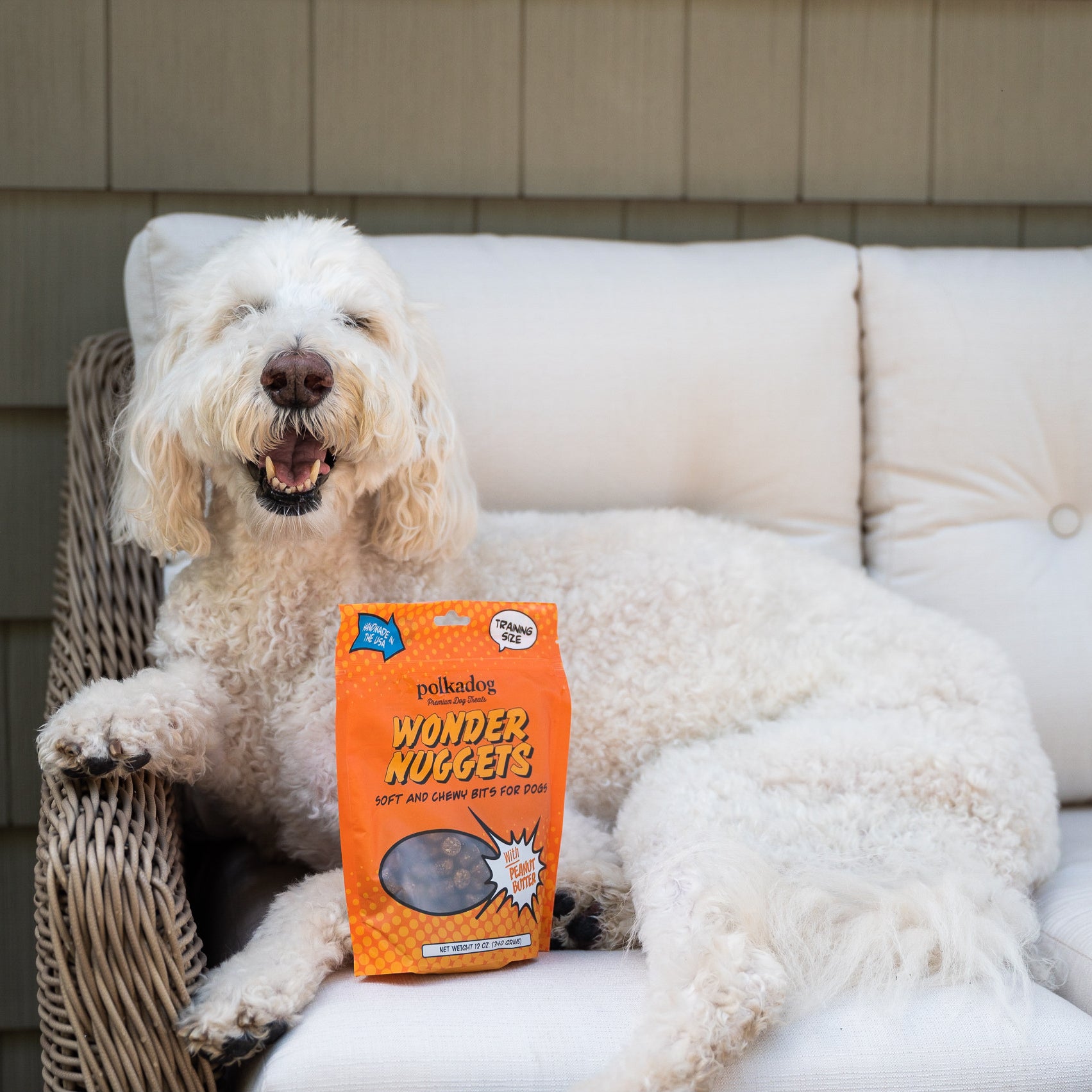 Wonder Nuggets Peanut Butter Dog Treats Polkadog