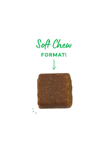 Open Farm Probiotic Supplement Chews for Dogs