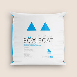 Boxiecat reviews top