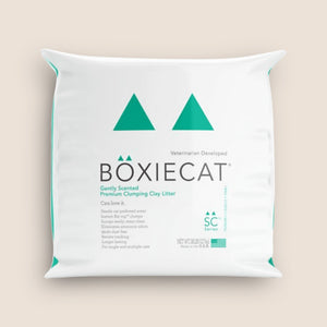 BoxieCat Cat Litter BoxieCat Gently Scented Premium Clumping Clay Litter