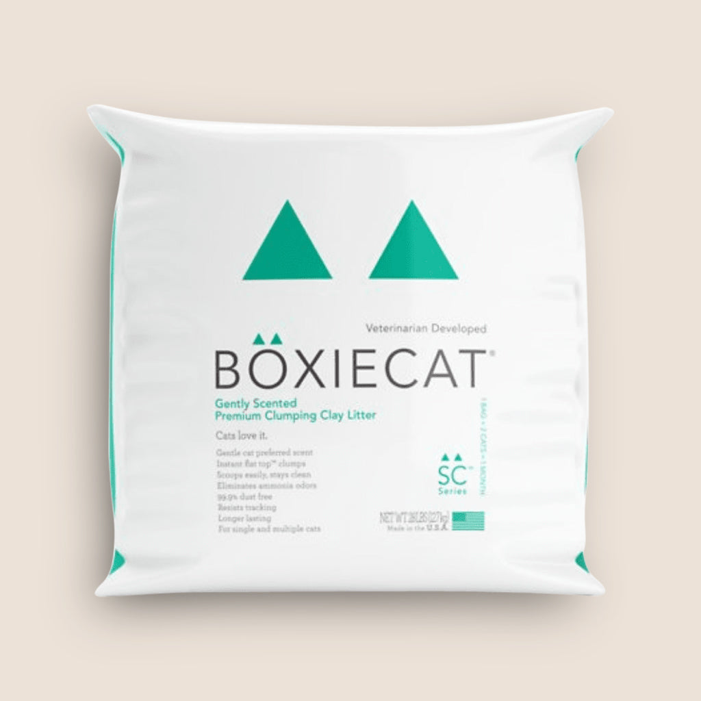 BoxieCat Cat Litter BoxieCat Gently Scented Premium Clumping Clay Litter