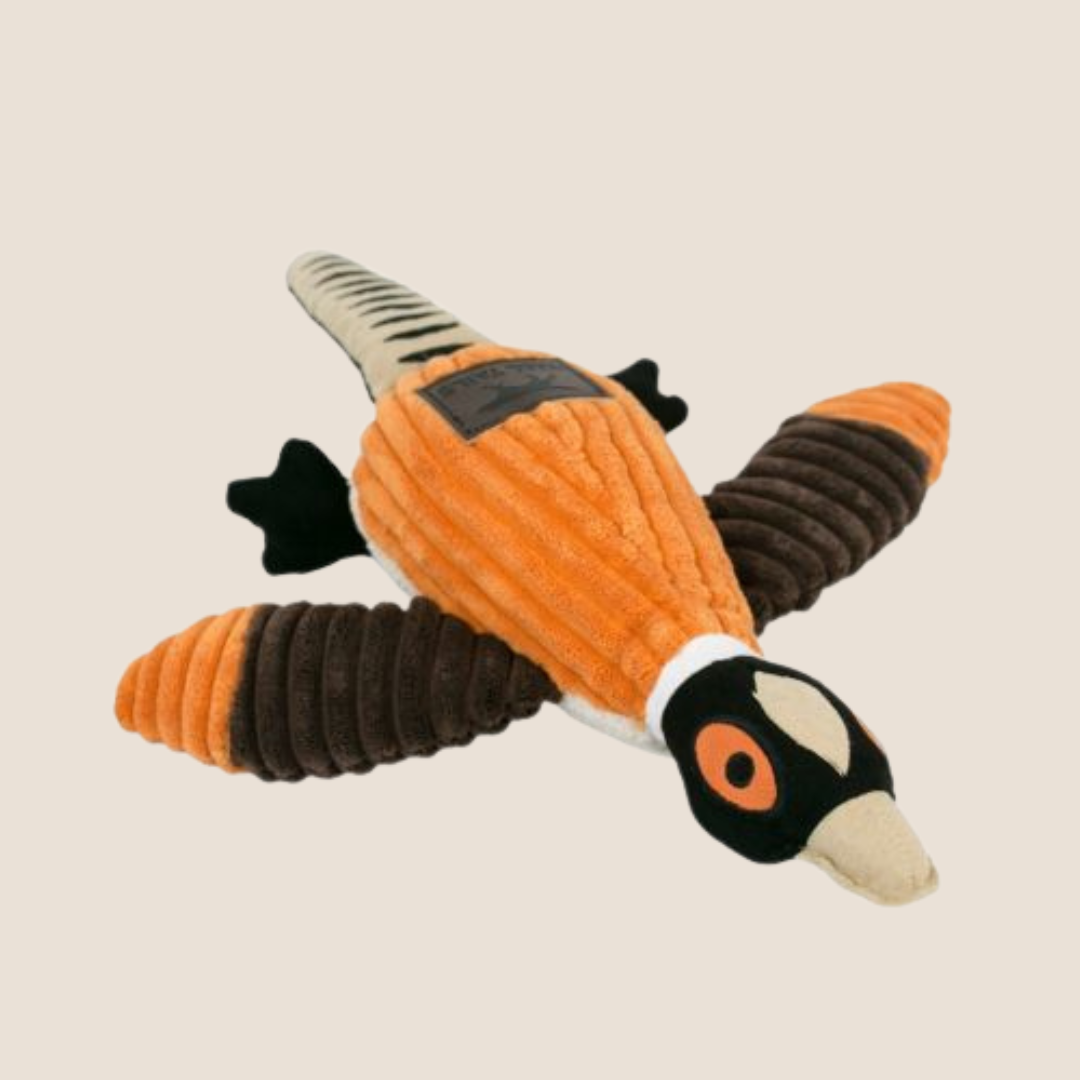 Tall Tails - Pheasant
