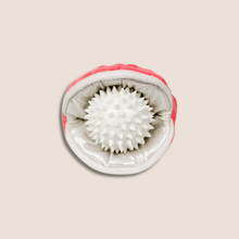 Load image into Gallery viewer, Tall Tails - Oyster with Pearl
