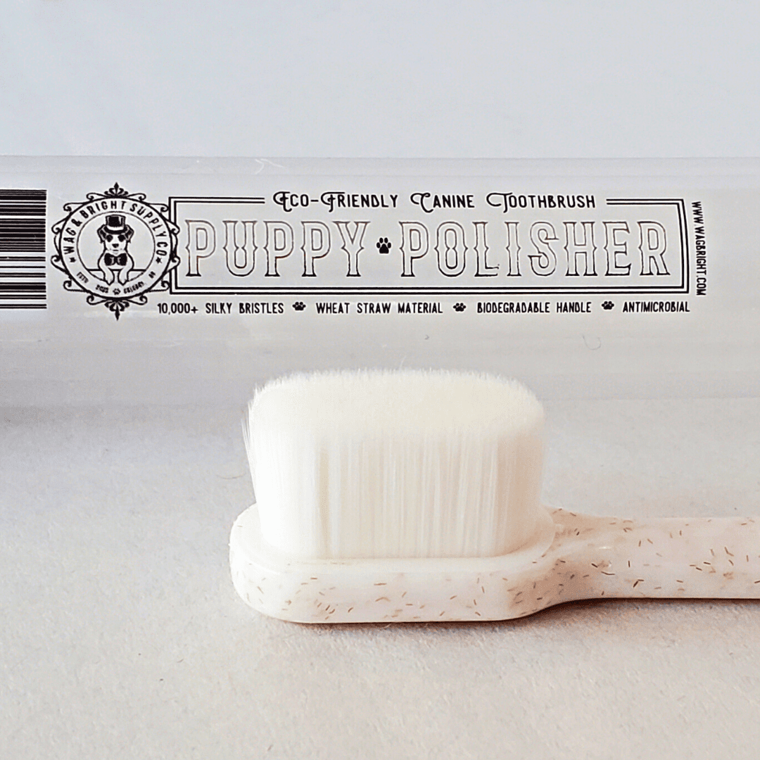 Wag & Bright Supply Co. - Puppy Polisher Toothbrush