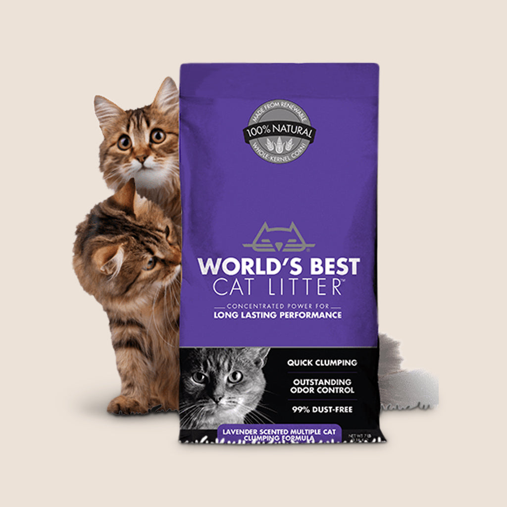 World's Best Clumping Formula Cat Litter Lavendar Scented, MultiCat